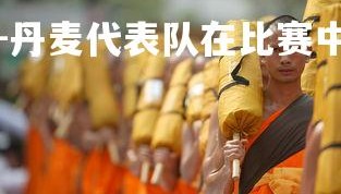 九游娱乐官方平台-丹麦代表队在比赛中斩获多枚金牌，丹麦获胜