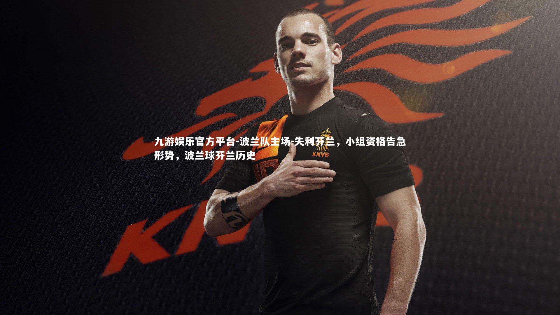 波兰队主场-失利芬兰,小组资格告急形势,波兰球芬兰历史